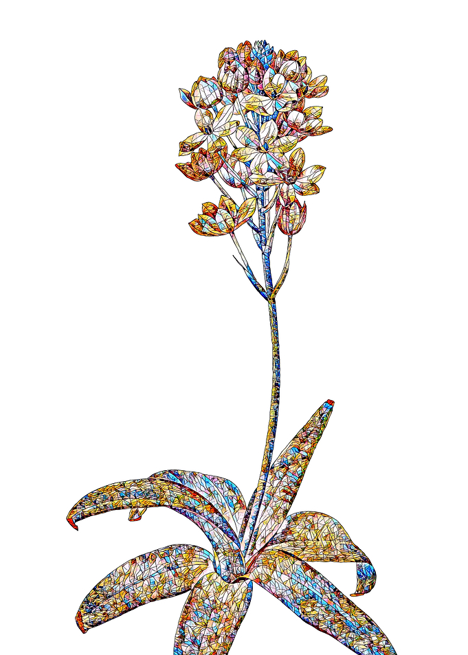 Prismatic Mosaic Floral