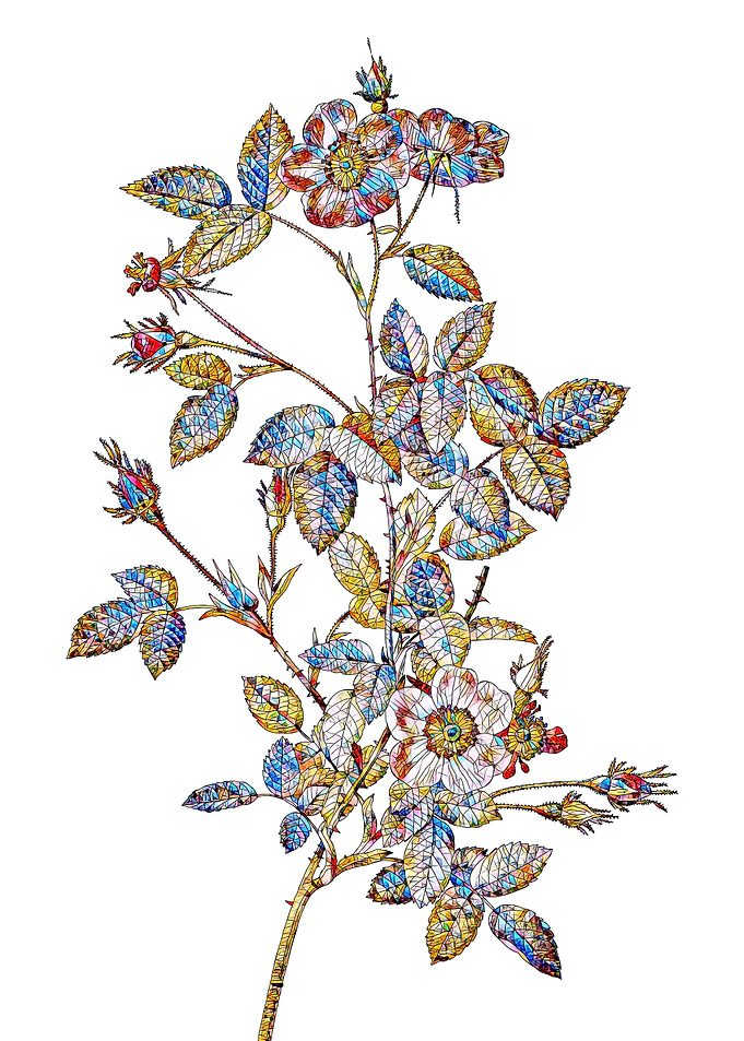 Stained Glass Rose Flower