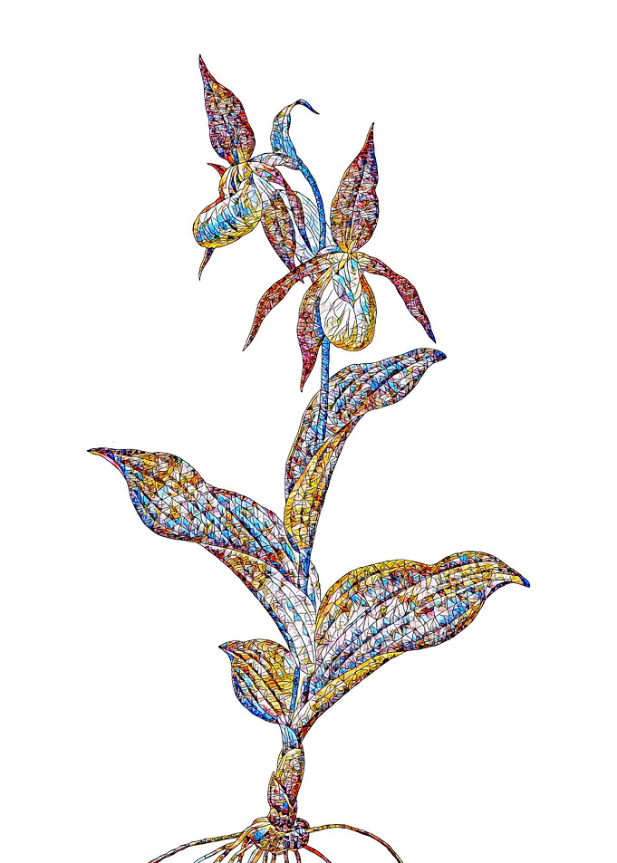 Stained Glass Botanical