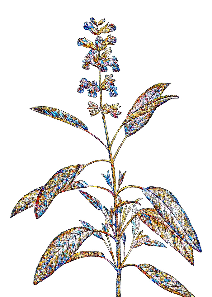 Stained Glass Botanical