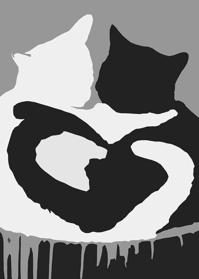 Cat Lovers