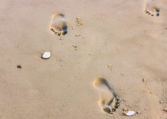 beach prints
