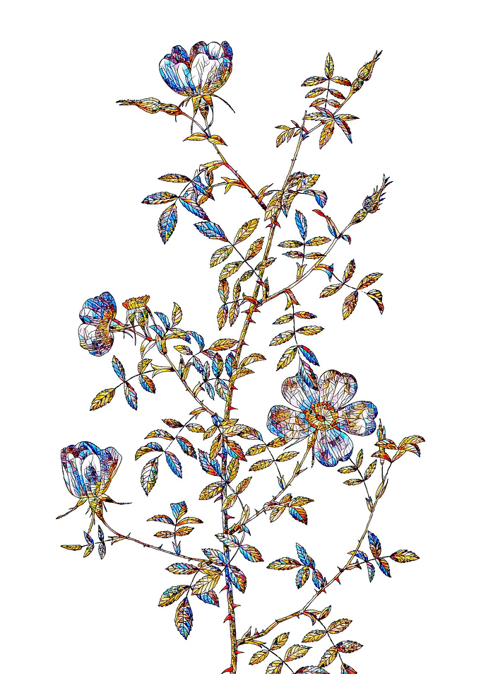 Stained Glass Rose Flower