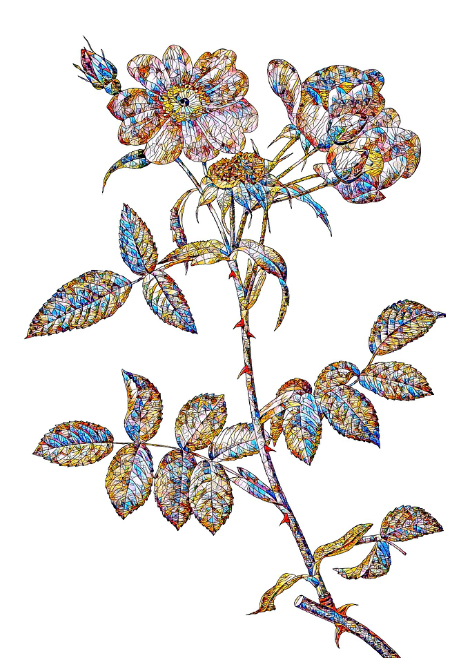 Stained Glass Rose Flower