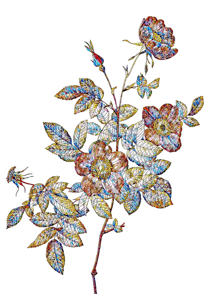 Stained Glass Rose Flower