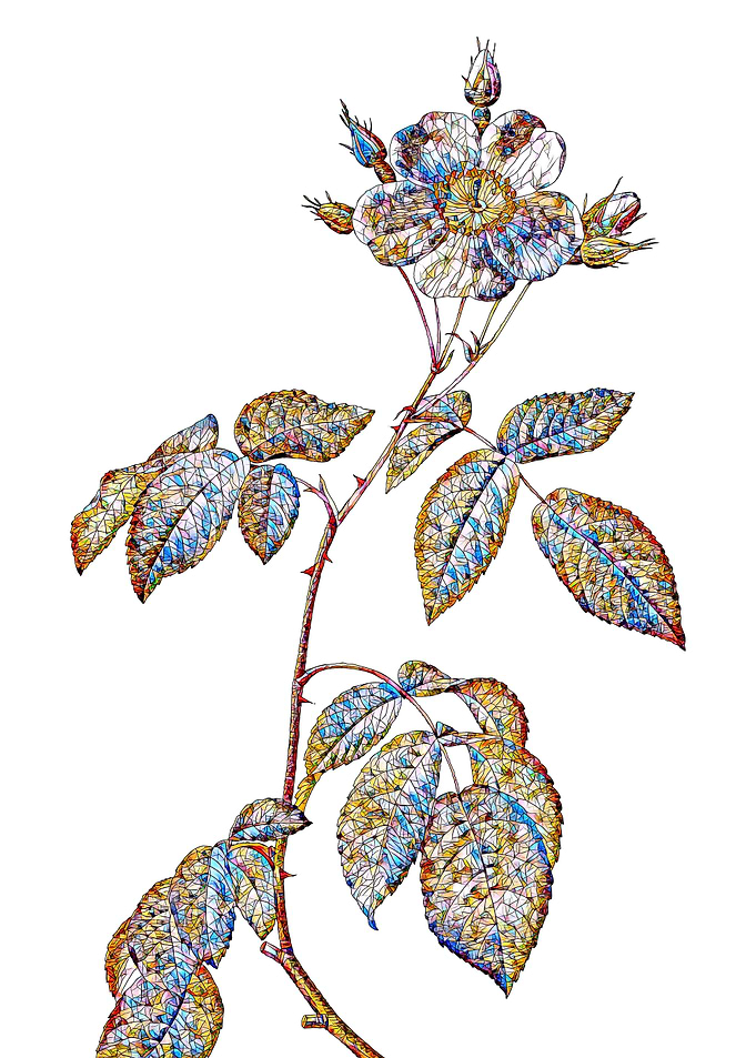 Stained Glass Rose Flower
