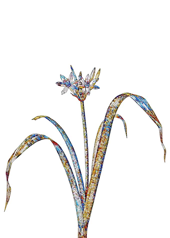 Rainbow Mosaic Flower