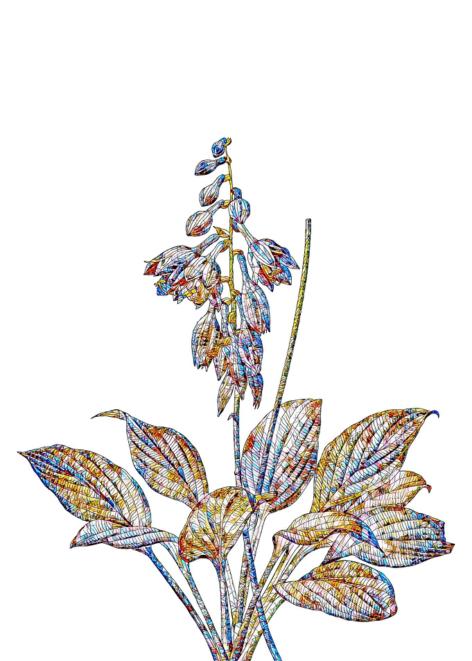 Stained Glass Lily Flower