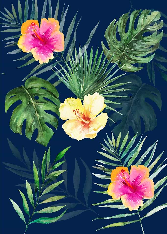 Tropical Hibiscus