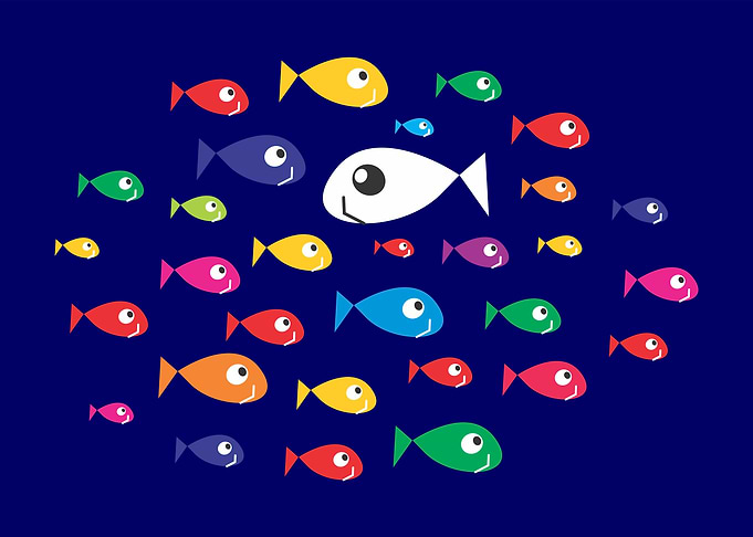 Fishes