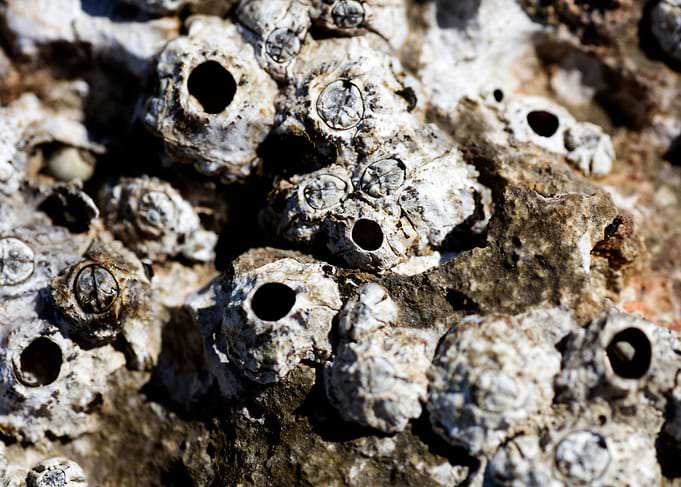 Sea rocks fine art prints