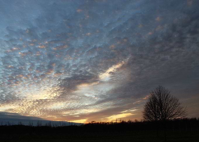 Painted Horizon