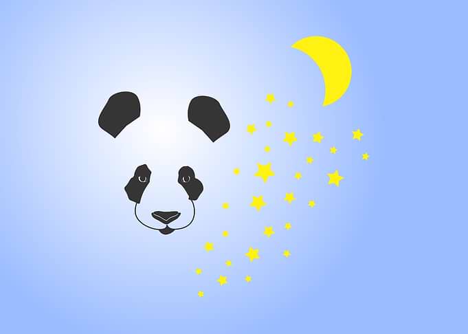 Good Night Panda