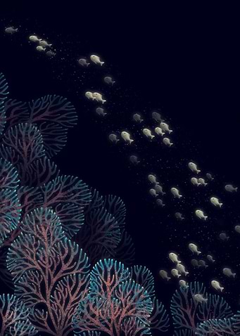 Underwater Fantasy 3