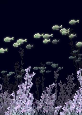 Underwater fantasy 2