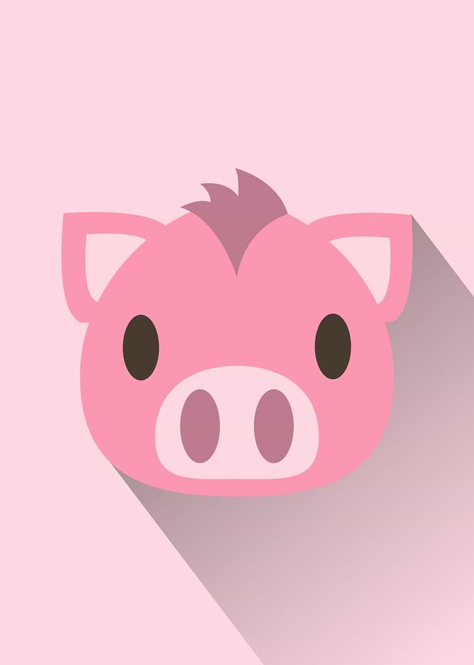 Pig Head