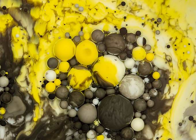 Bubbles Art Papaya