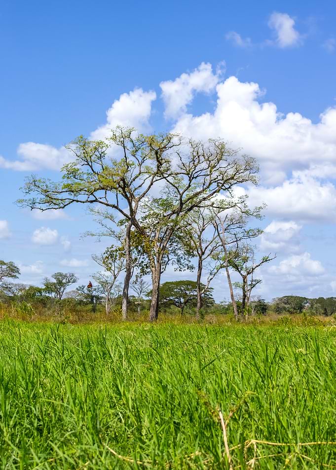 landscape in Venezuela