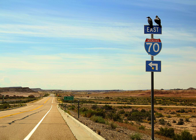 Route 70 Crows