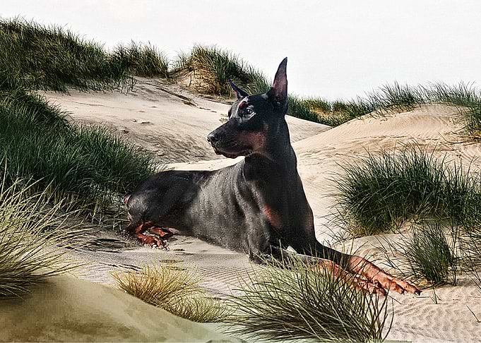 Dunes