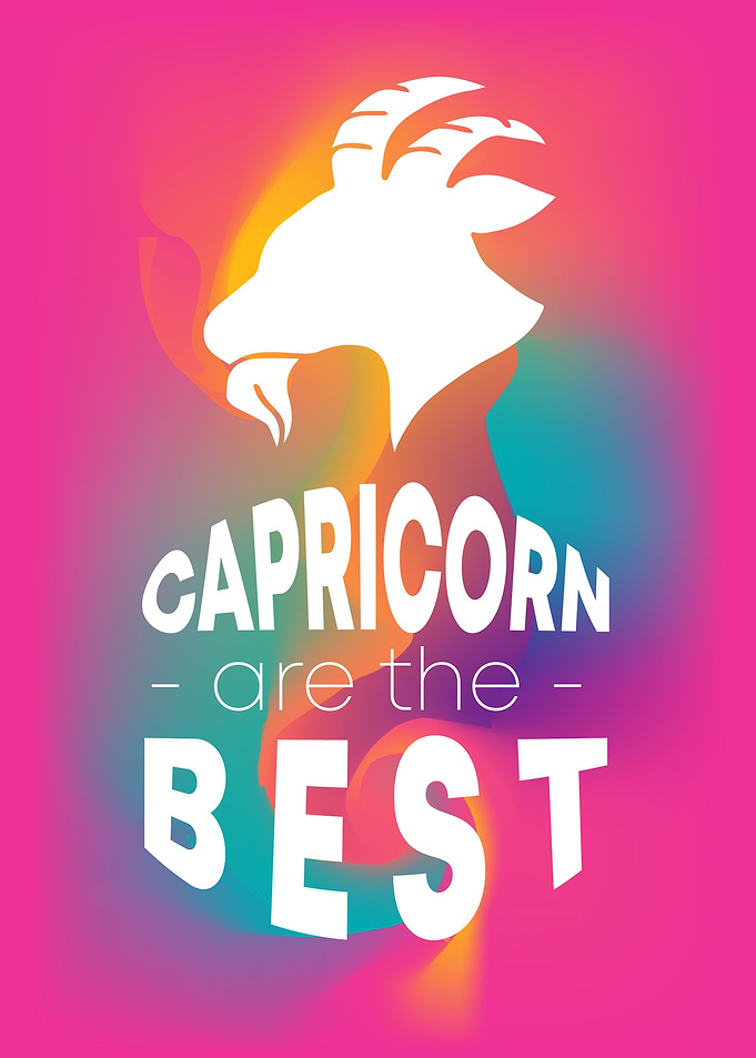 Capricorn Best 14