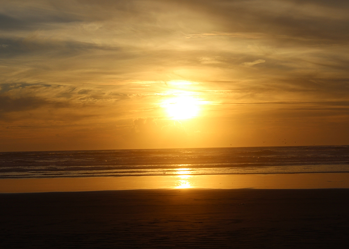 Ocean