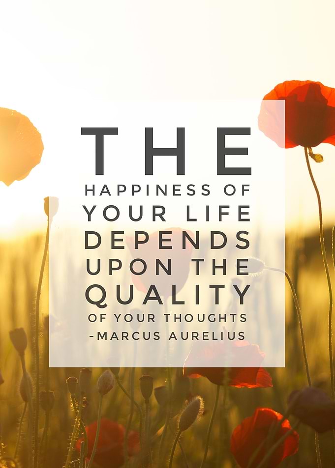 Happiness of Life