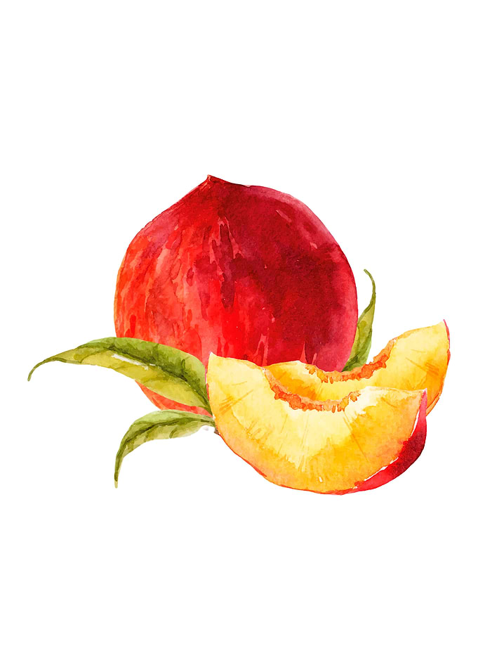 Fruit