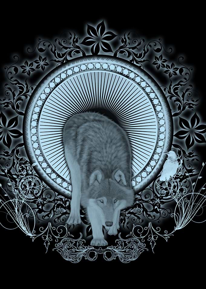 Awesome wolf