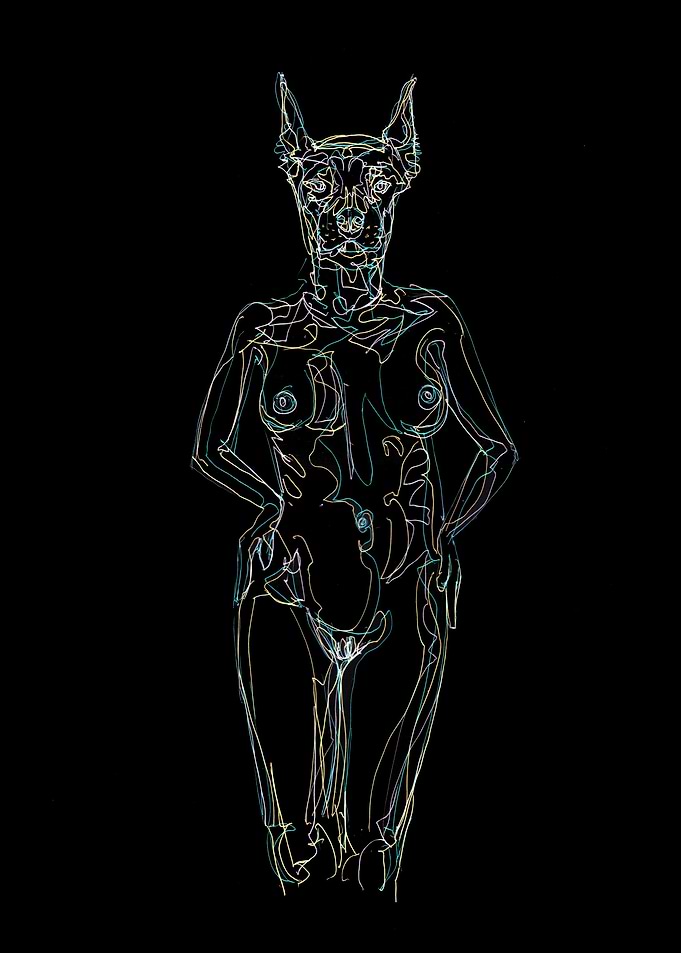 Void