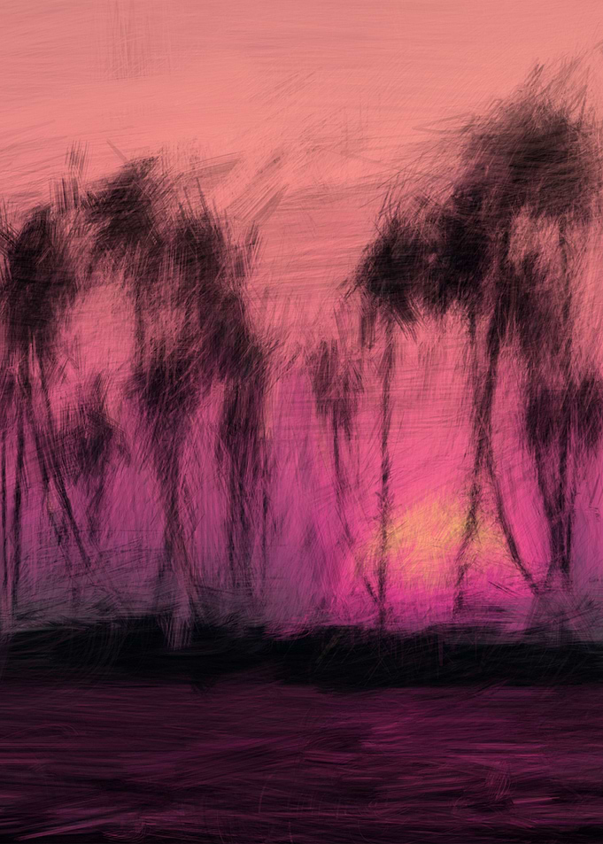 coconut palms and sunset