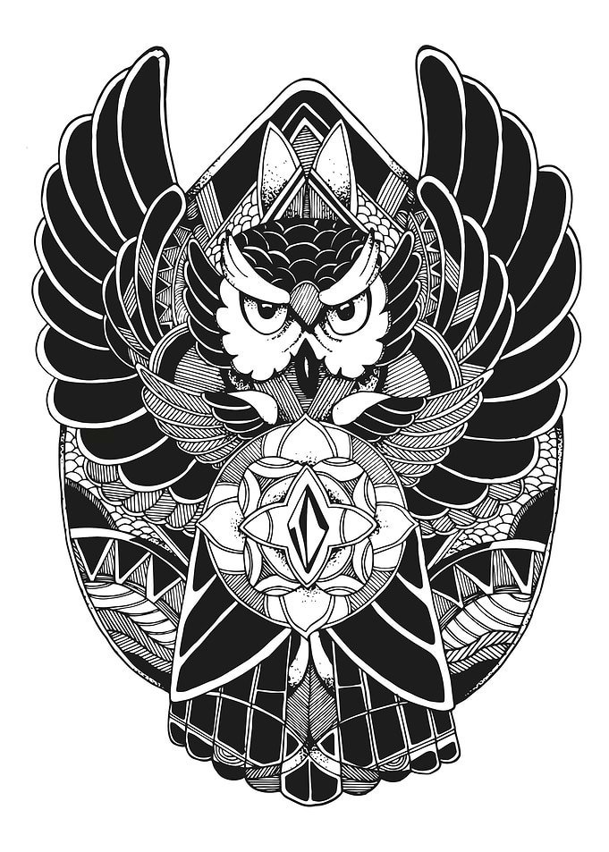Owl