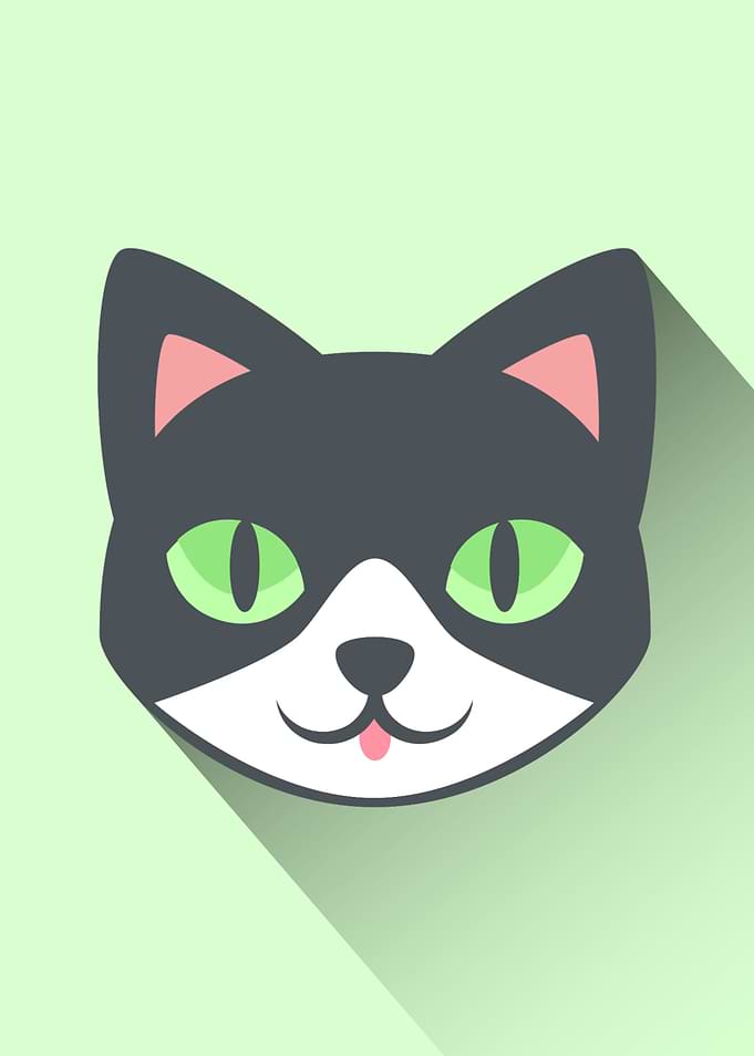 Cat Head