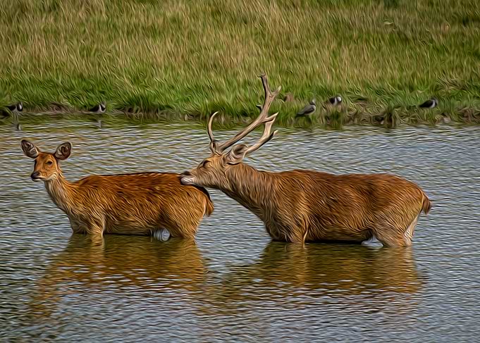 Cooling Off