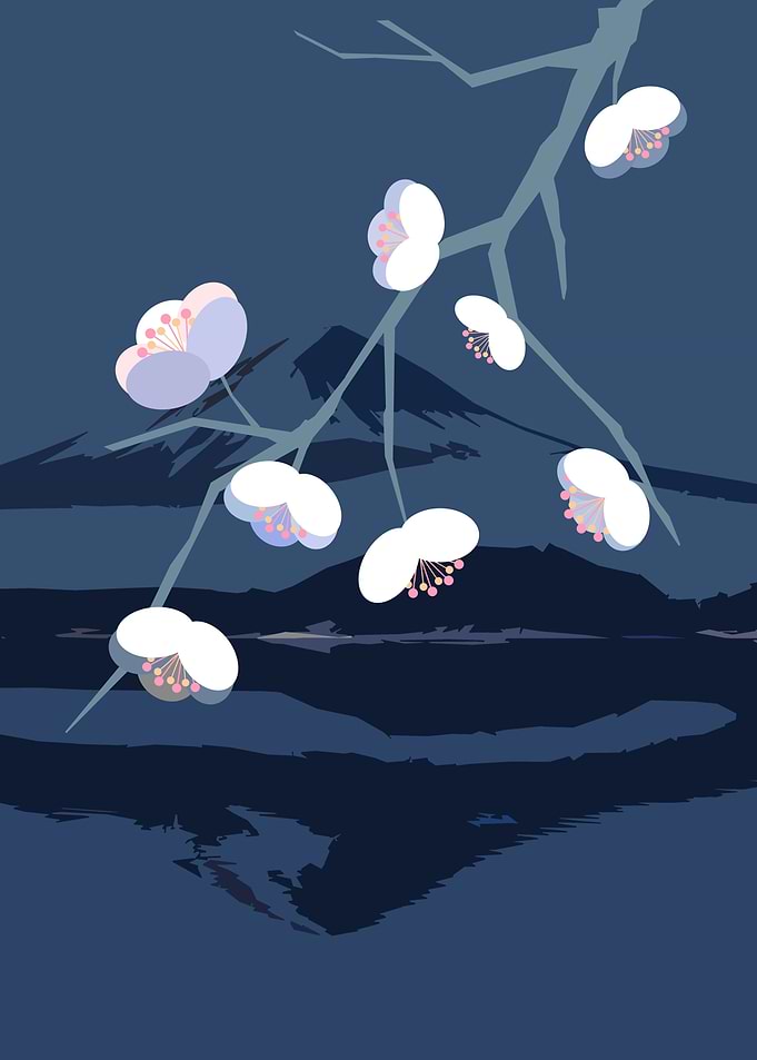 Fuji and cherry blossom 2