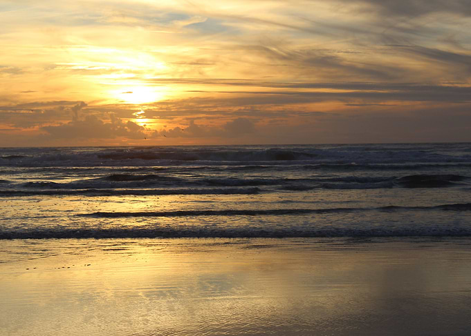 Ocean view