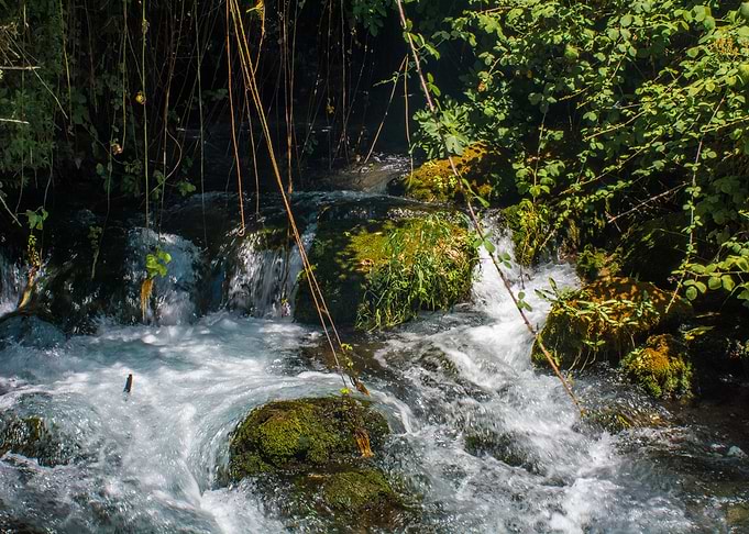 Rushing Waters