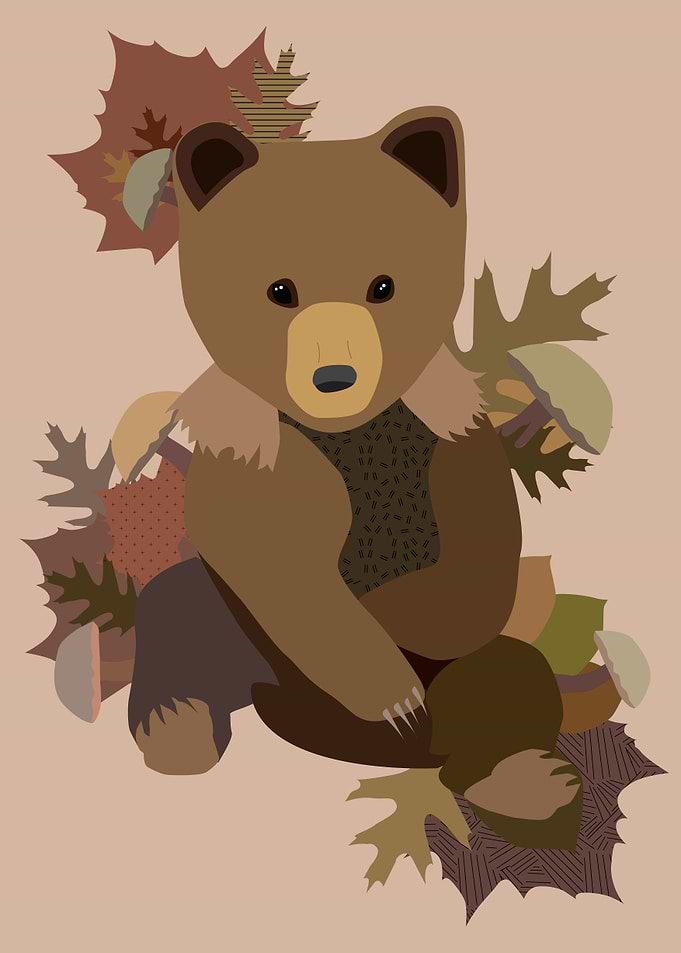 Brown bear