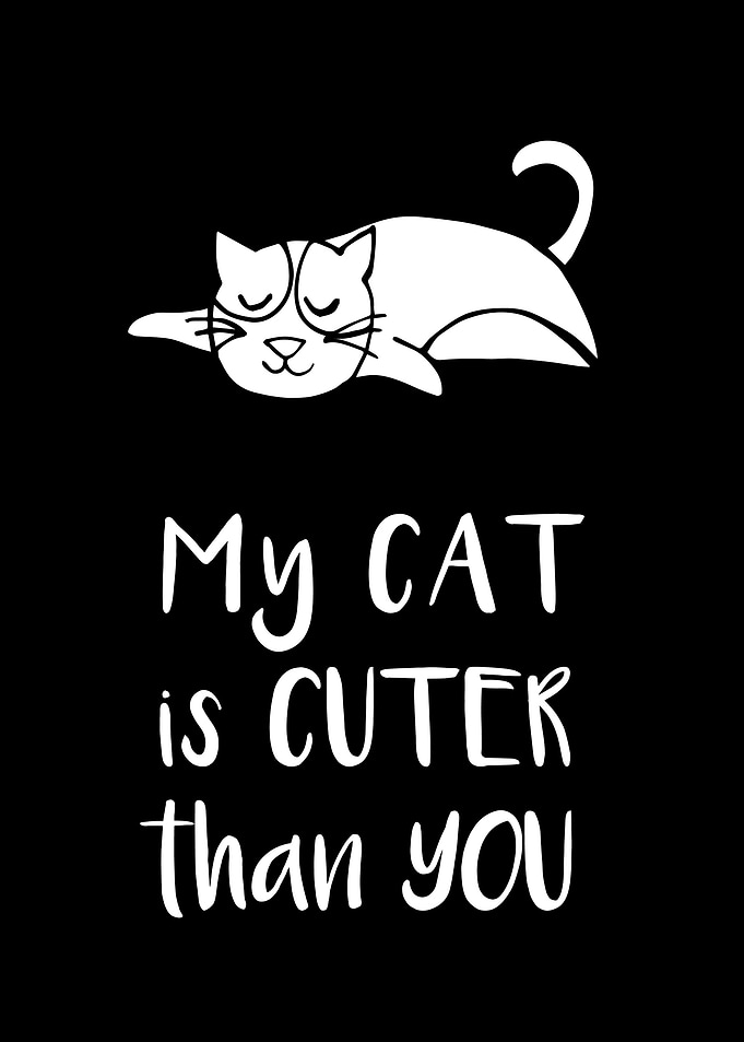 My Cat Is Cuter 3