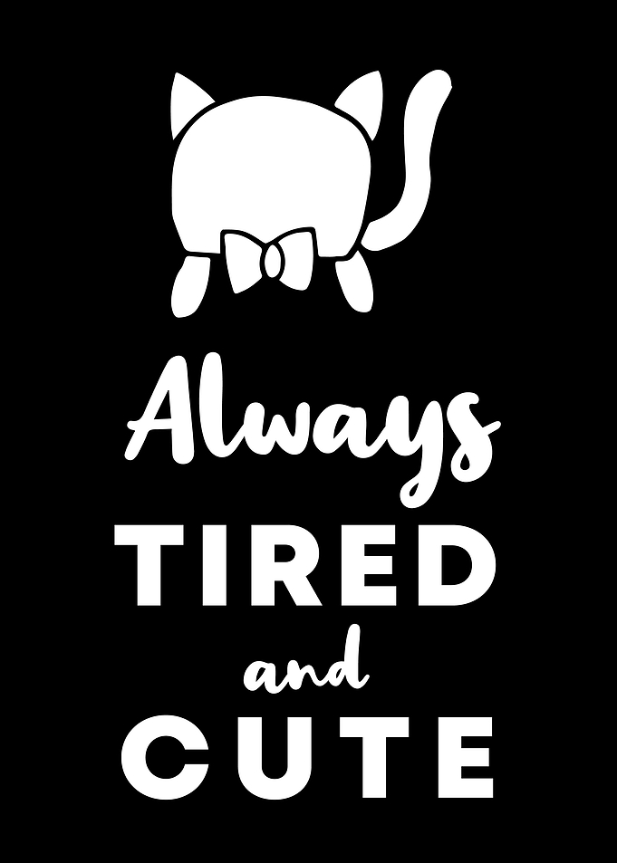 Cat Tired and Cute 8