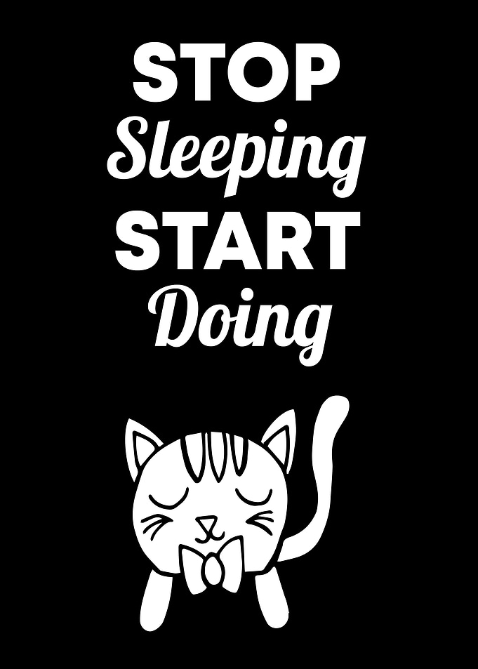 Cat Stop Sleeping 4