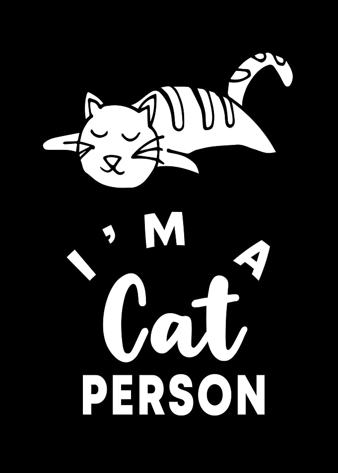 Cat Person 2