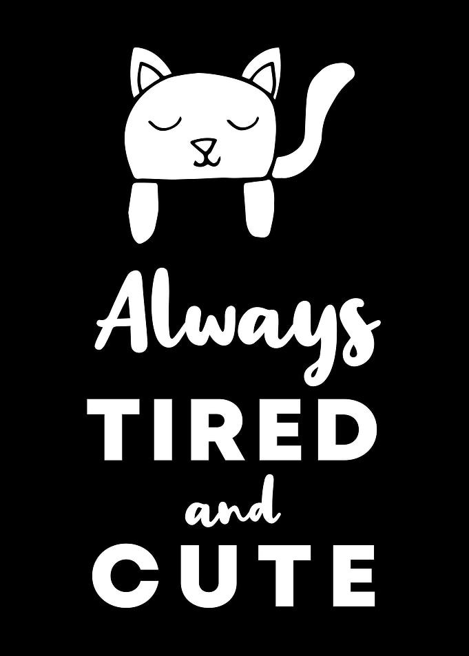 Cat Tired and Cute 4