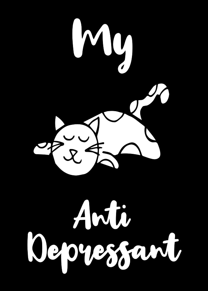 Cat Anti Depressant 4