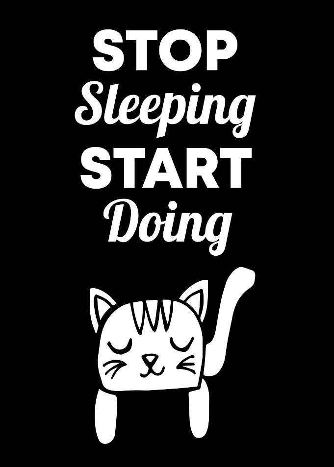 Cat Stop Sleeping 5