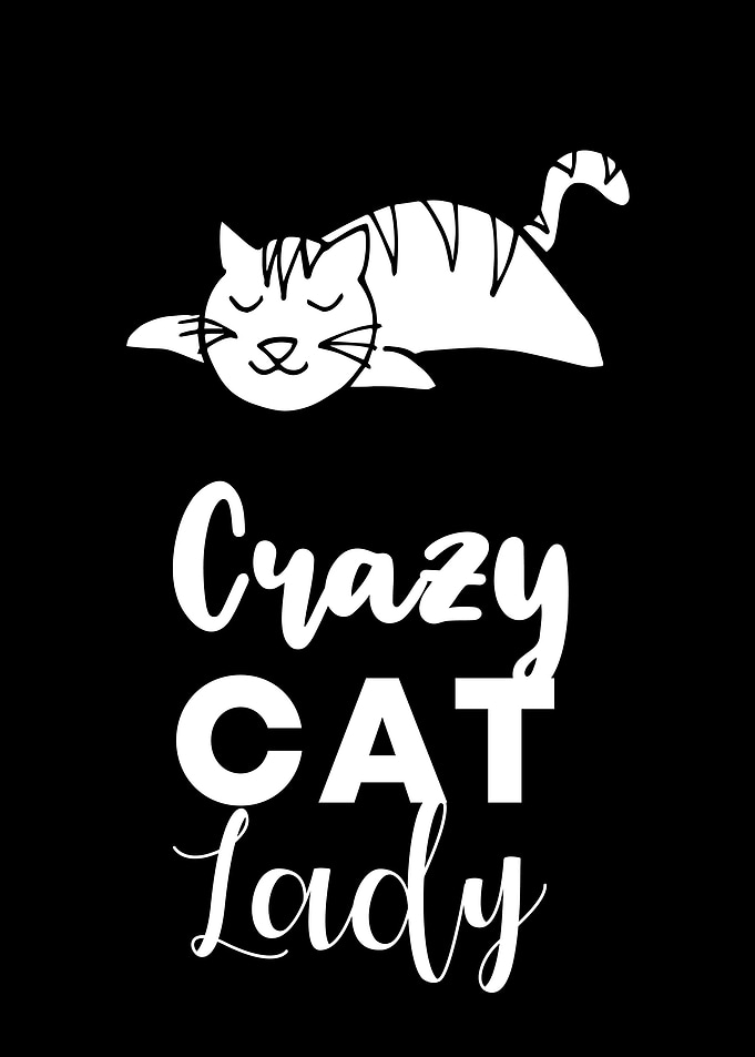 Crazy Cat Lady 6