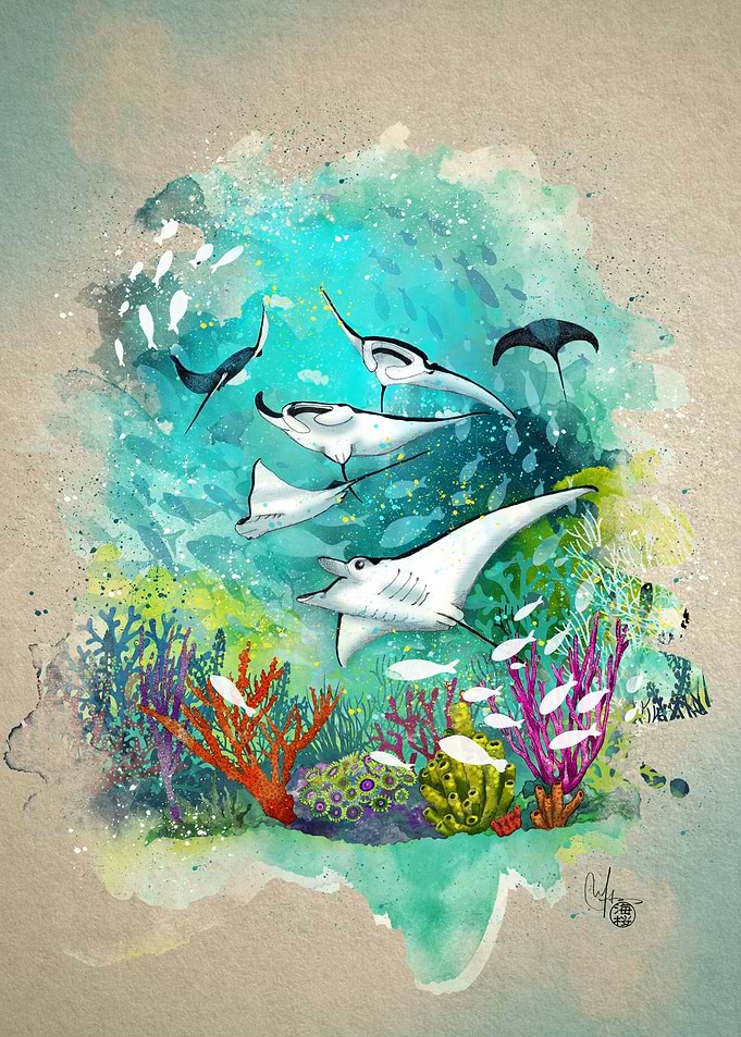Under the sea
