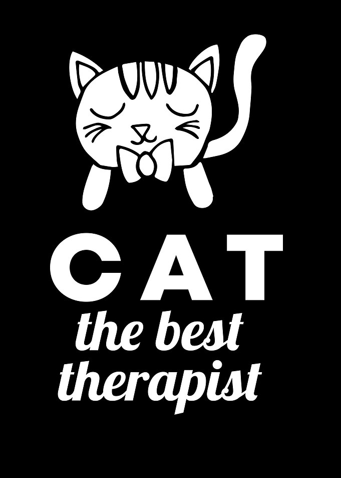 Cat Best Therapist 13