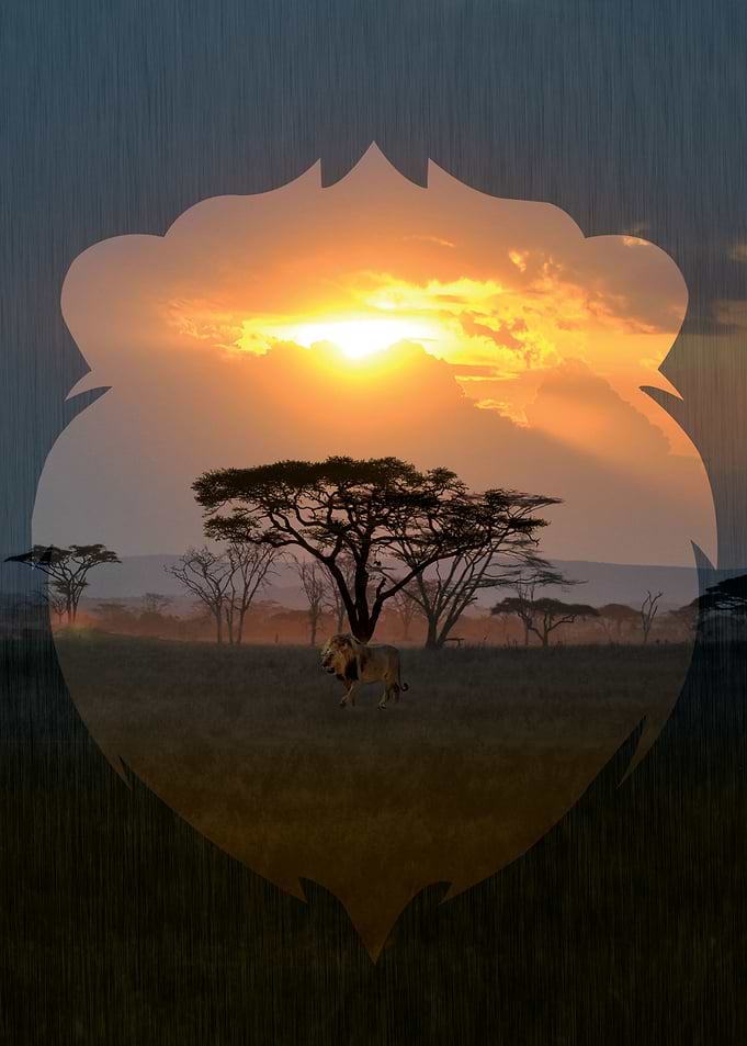 Lion in Nature