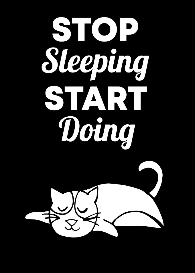 Cat Stop Sleeping 6